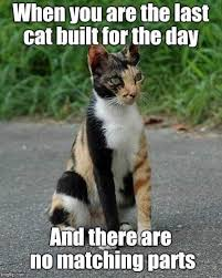 An image attached to this post, provided by the poster