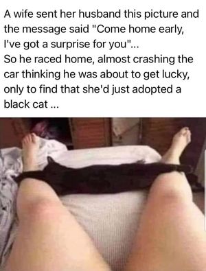 An image attached to this post, provided by the poster
