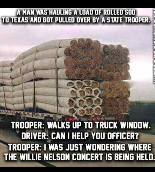 An image attached to this post, provided by the poster