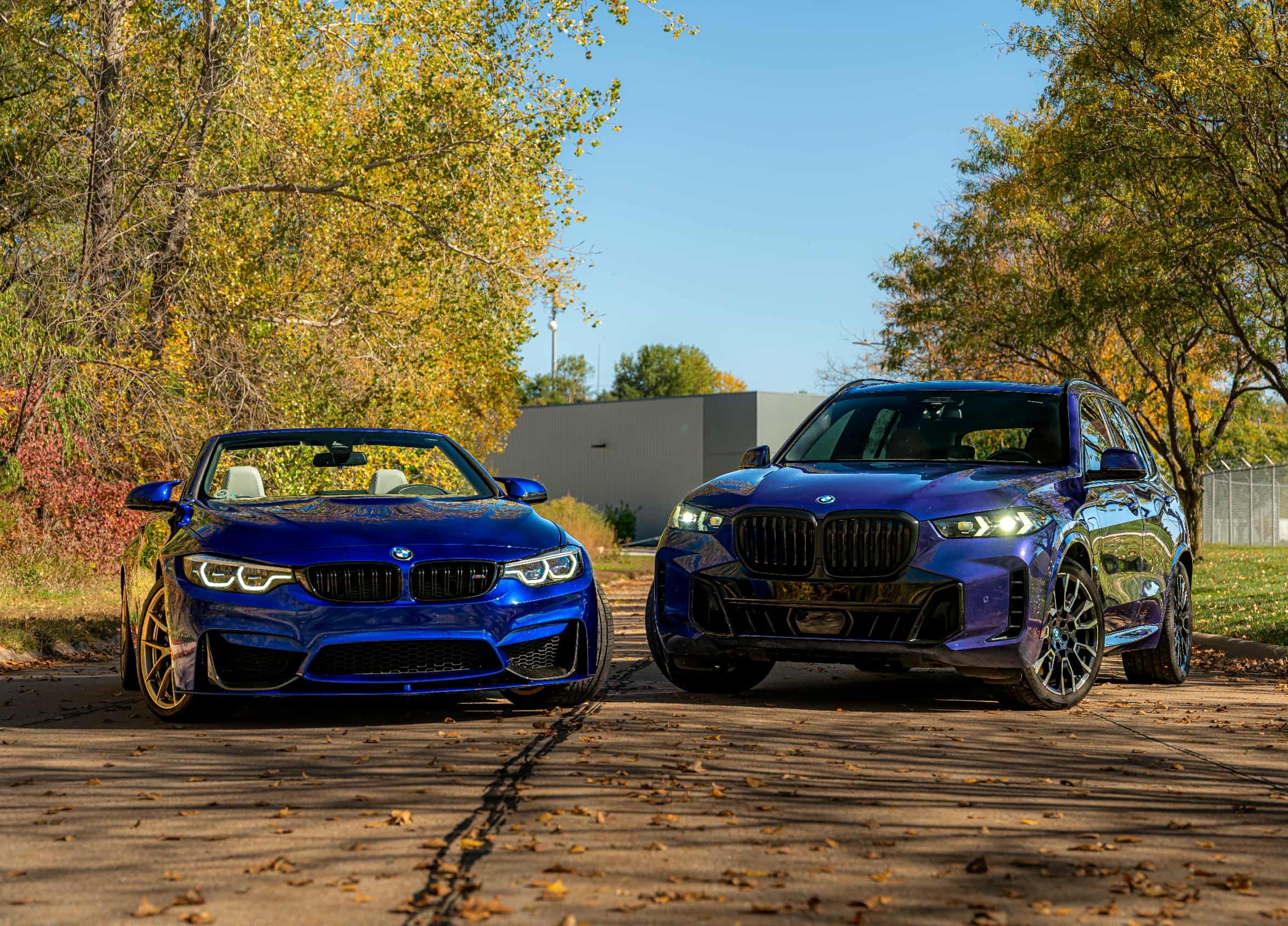 An image attached to this post, provided by the poster