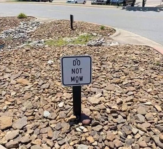 An image attached to this post, provided by the poster