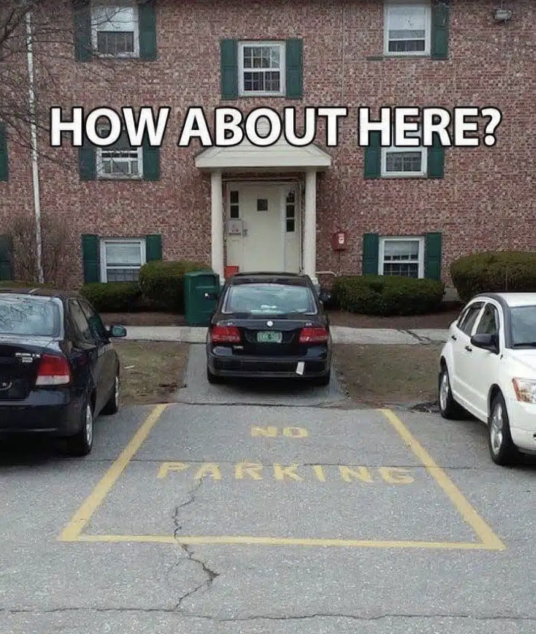 An image attached to this post, provided by the poster