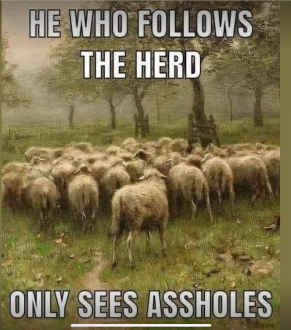 An image attached to this post, provided by the poster