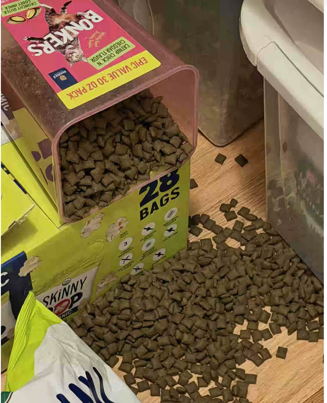 An image attached to this post, provided by the poster