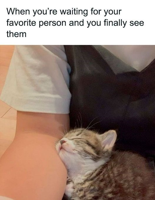 An image attached to this post, provided by the poster