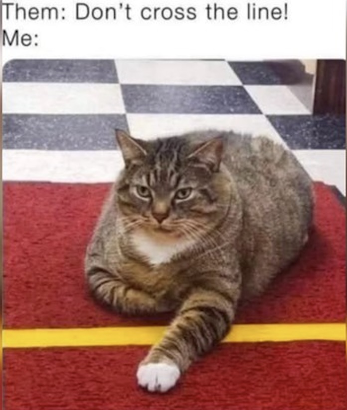 An image attached to this post, provided by the poster