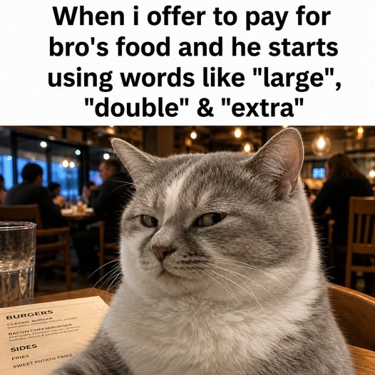 An image attached to this post, provided by the poster