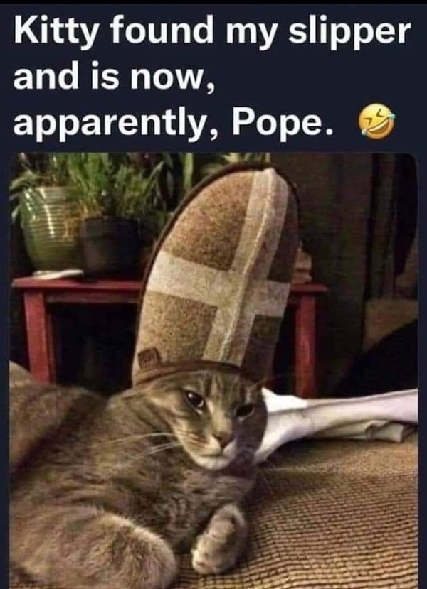 An image attached to this post, provided by the poster