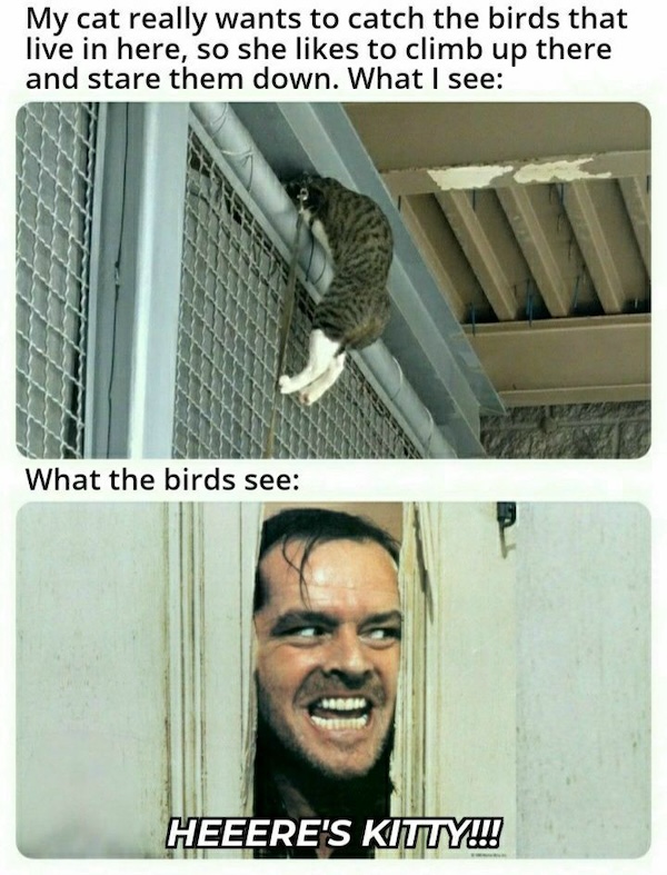 An image attached to this post, provided by the poster