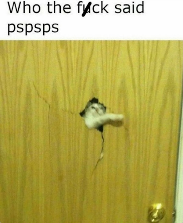 An image attached to this post, provided by the poster