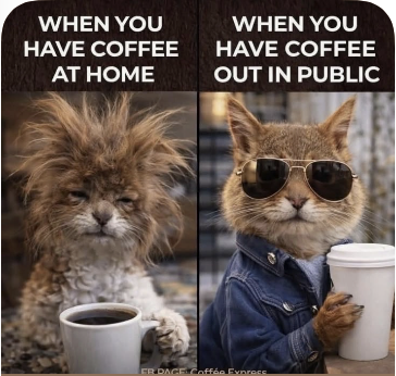 An image attached to this post, provided by the poster