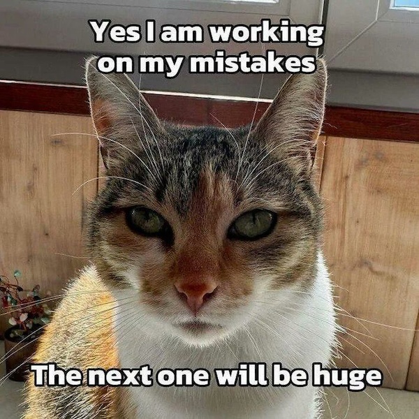 An image attached to this post, provided by the poster