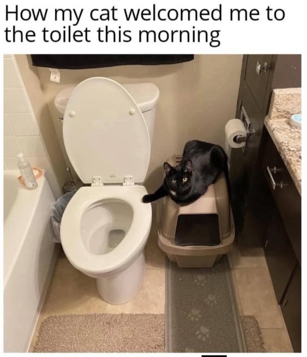 An image attached to this post, provided by the poster
