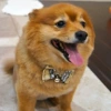 RyanBMW user avatar