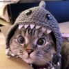 CPT Smuggs user avatar