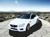 TT BT user avatar