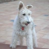 BSfmAZ user avatar