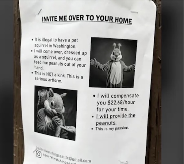 An image attached to this post, provided by the poster