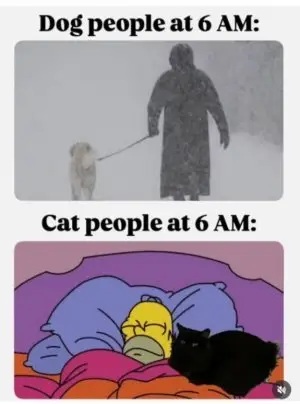 An image attached to this post, provided by the poster