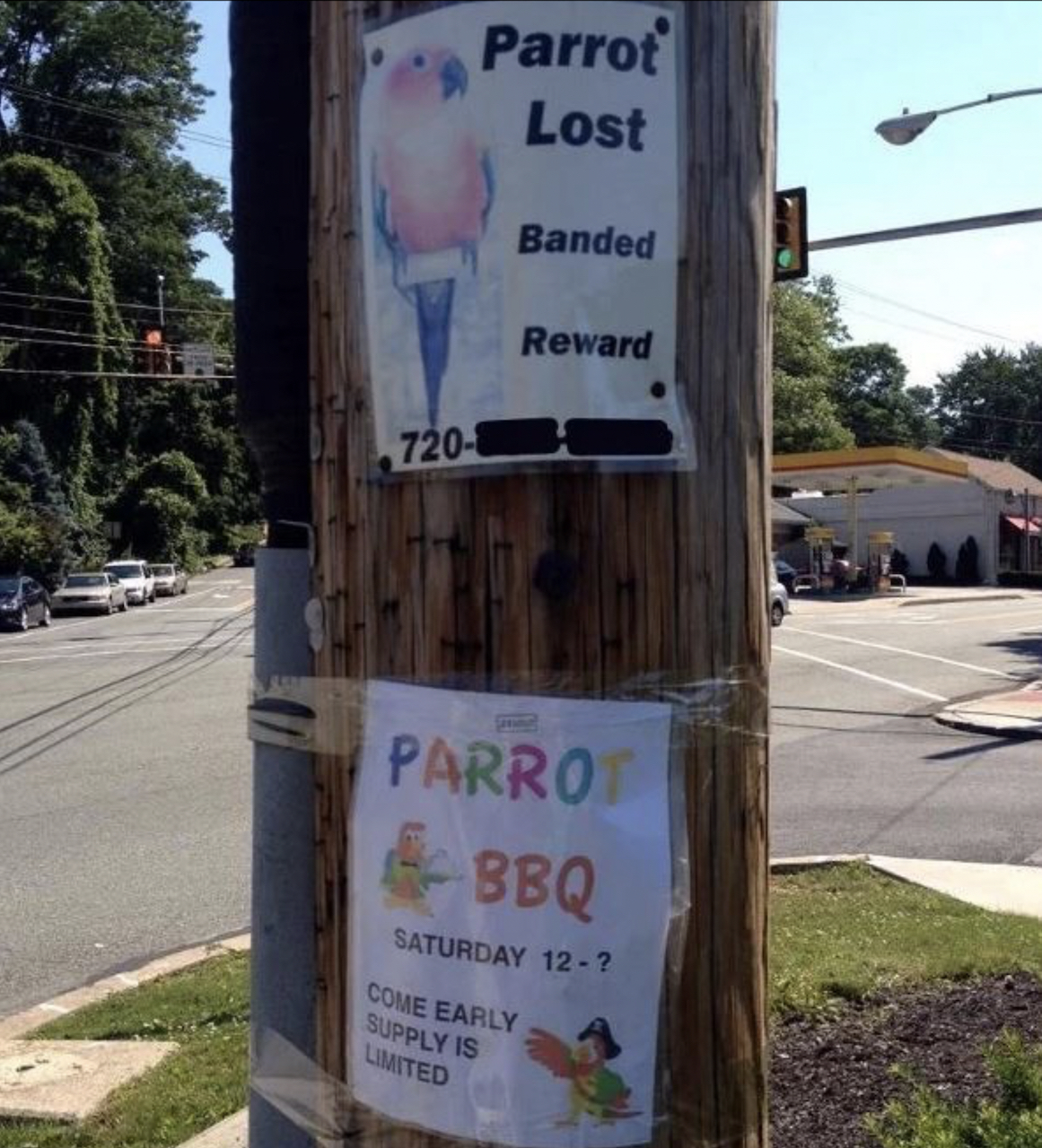 An image attached to this post, provided by the poster