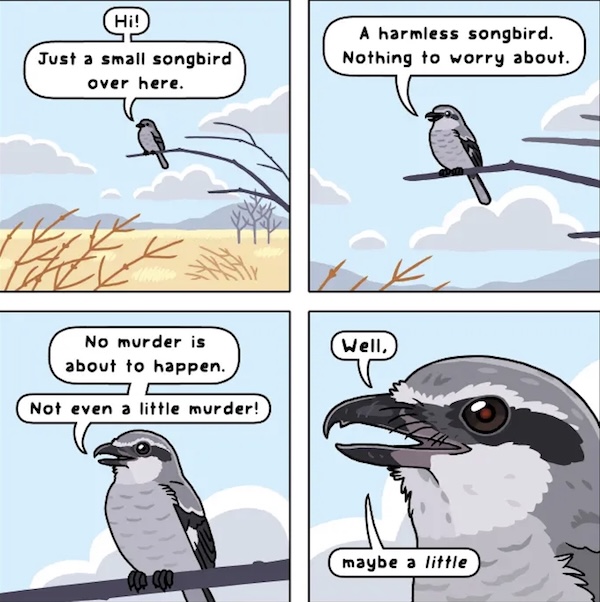 An image attached to this post, provided by the poster