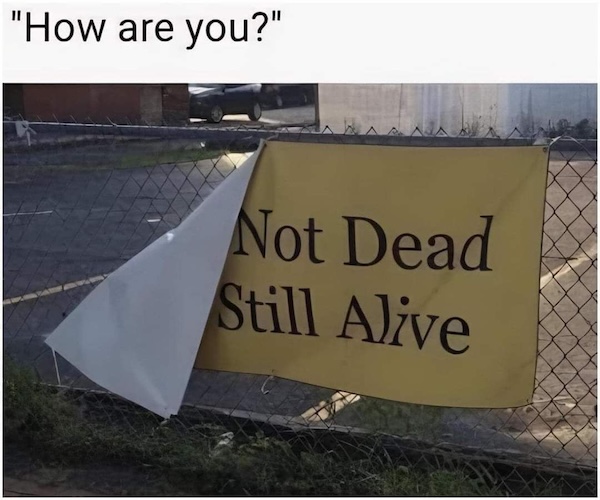 An image attached to this post, provided by the poster