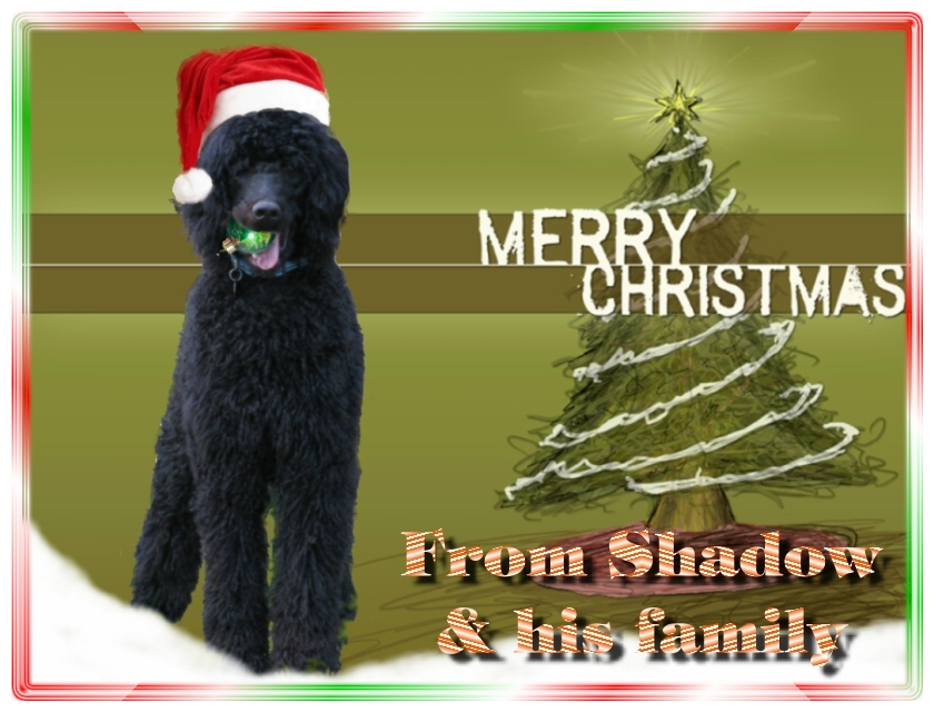 Name:  shadow-christmas-card-3.jpg
Views: 35025
Size:  291.5 KB