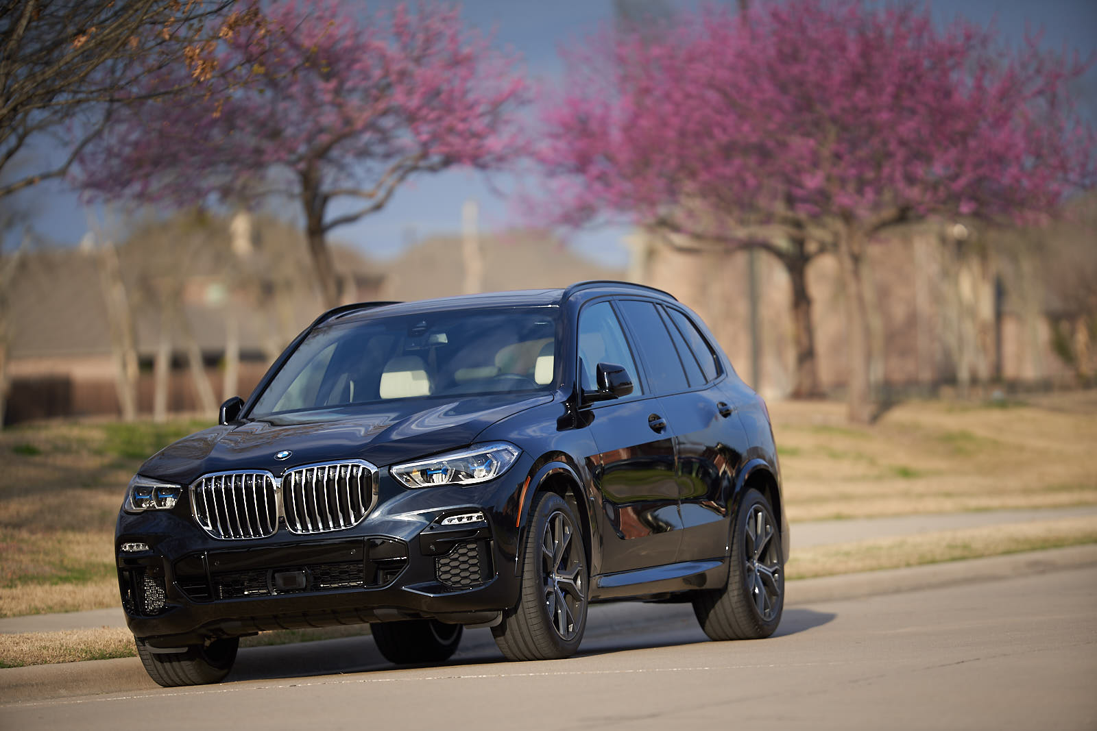 Name:  2019_BMW_X5_xDrive_ 4.jpg
Views: 4528
Size:  190.6 KB
