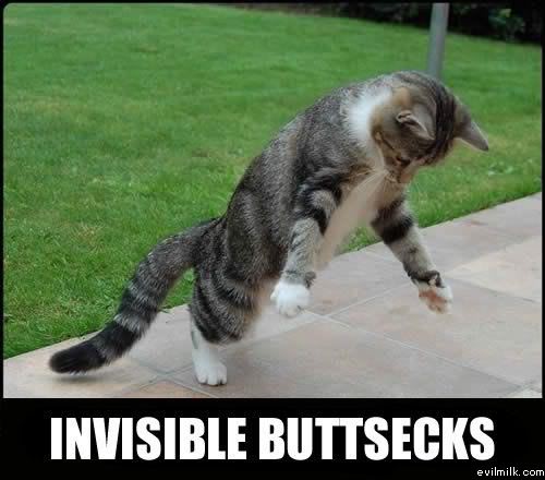 Name:  Invisible_buttsecks.jpg
Views: 23260
Size:  35.0 KB