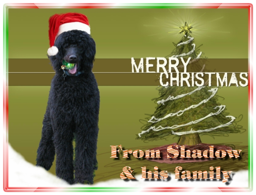 Name:  shadow-christmas-card-3.jpg
Views: 33549
Size:  291.5 KB