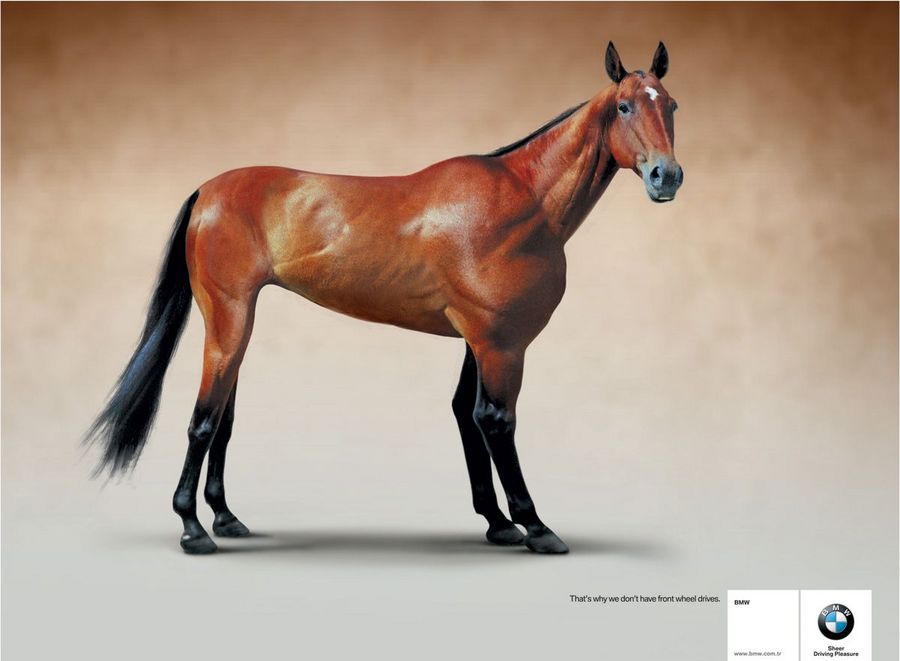 Name:  horse.jpg
Views: 4860
Size:  47.7 KB