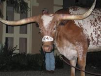 Texas Longhorn's Avatar